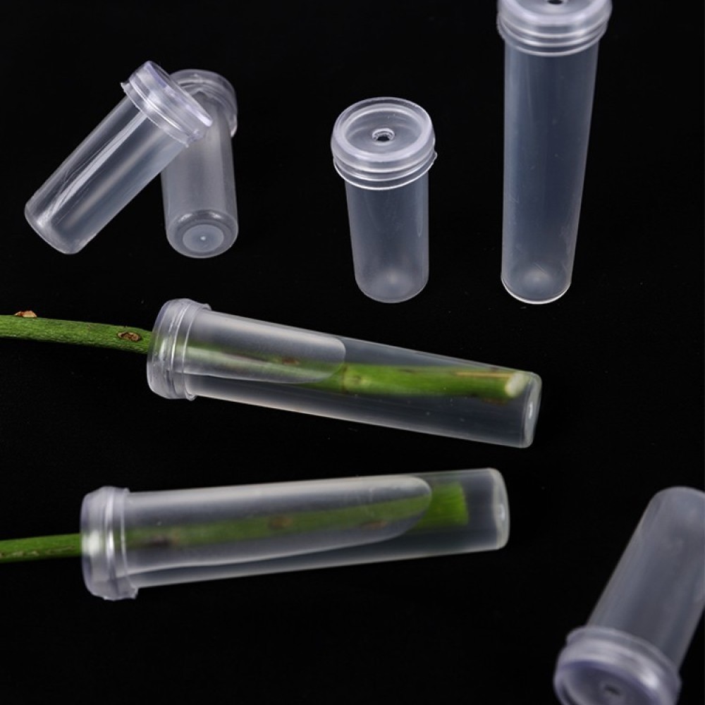 Long Lasting Floral Water Vial - Florist Supply Shop ulasan dan harga
