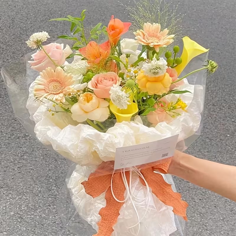 1/2pc Clear Cellophane Wrap Ro - Cellophane Wrap Clear ulasan dan harga