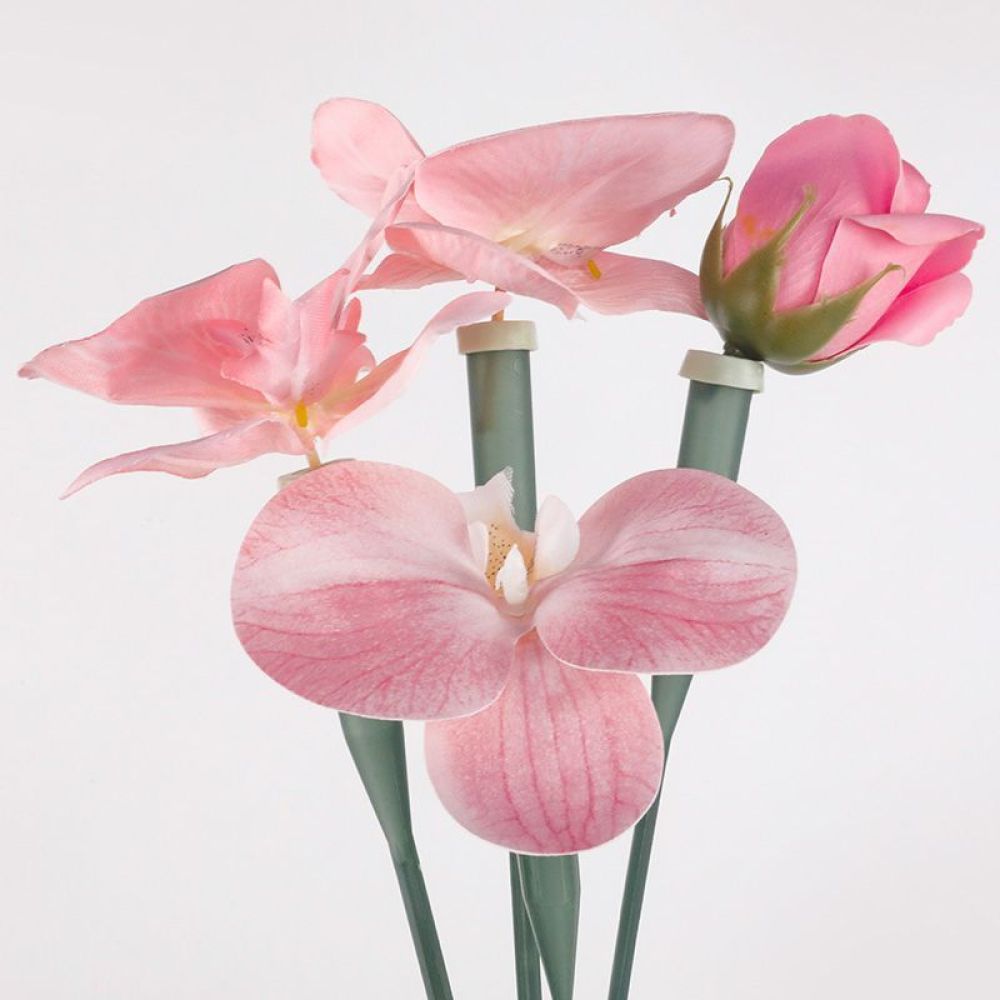 Floral Preservative Tubes Tran - Florist Supply Shop ulasan dan harga